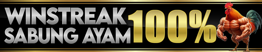 winstreak sabung ayam 100%